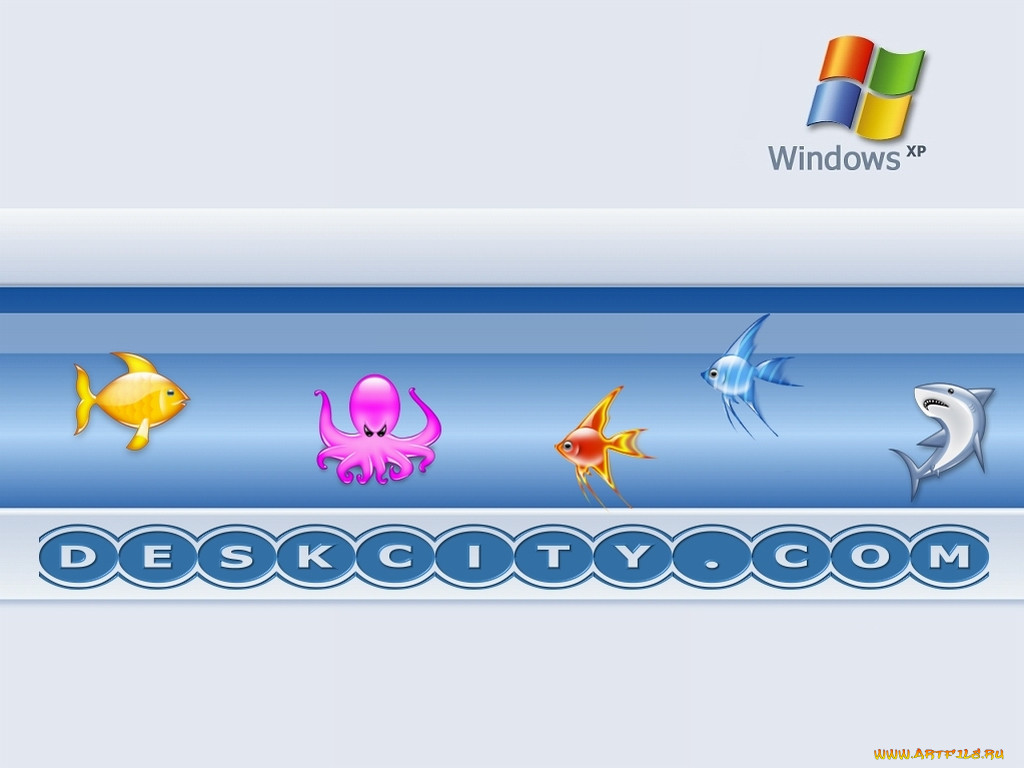, windows, xp